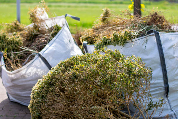 Best Electronics Removal Services  in Hazlehurst, GA